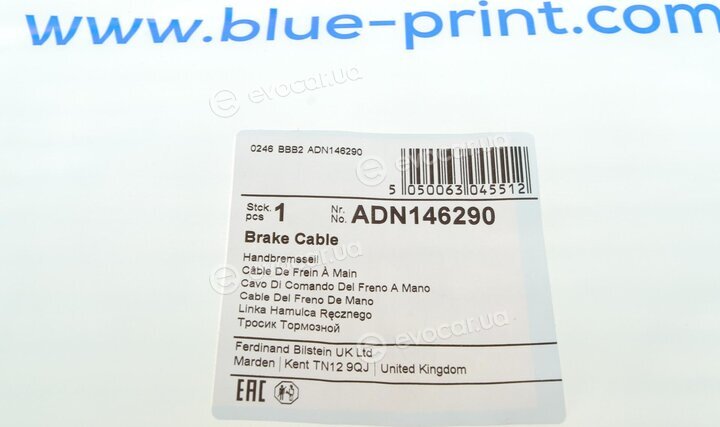 Blue Print ADN146290