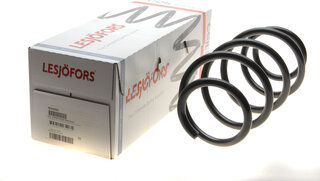 Lesjofors 4056890