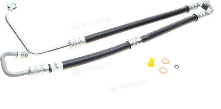 AIC 57681