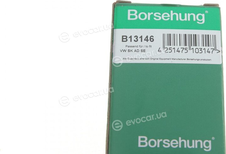 Borsehung B13146