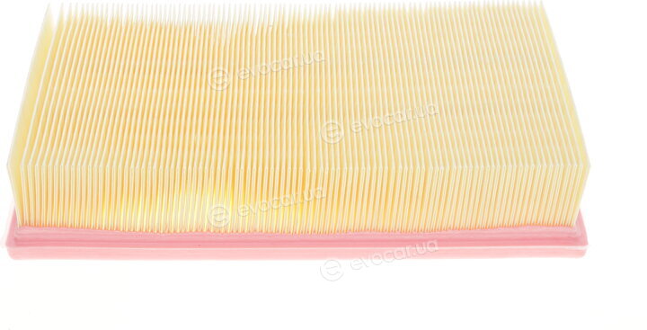 Solgy 103045