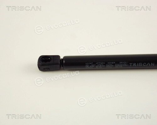 Triscan 8710 29231