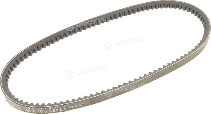 Continental AVX10X650