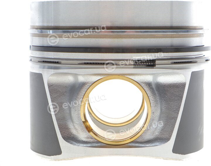 Mahle 028 PI 00100 002