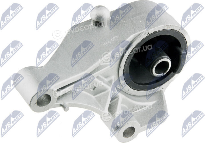 NTY ZPS-PL-007