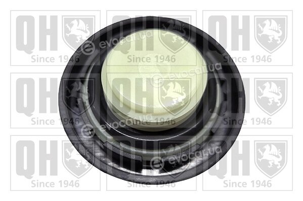 Quinton Hazell FC583