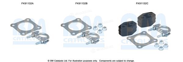 BM Catalysts FK91132