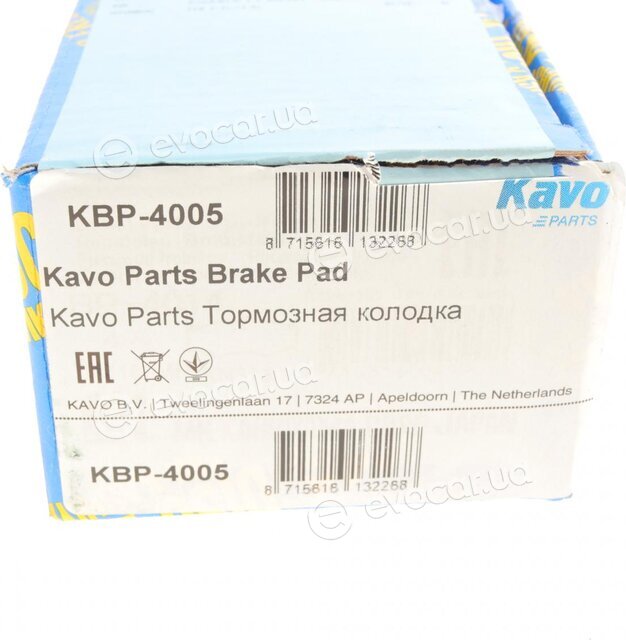 Kavo KBP-4005