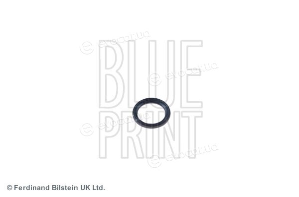 Blue Print ADA100106