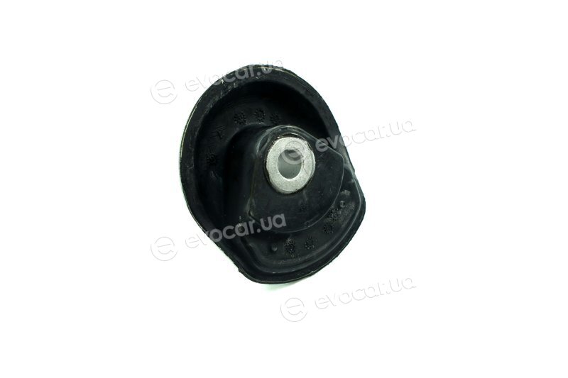 Sasic 9001702