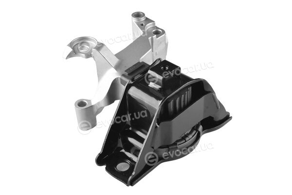 Tedgum TED49619