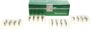 Borsehung B18207