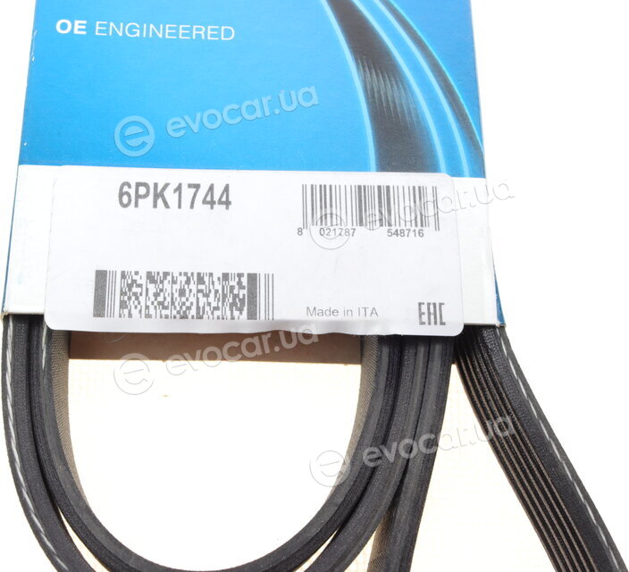Dayco 6PK1744
