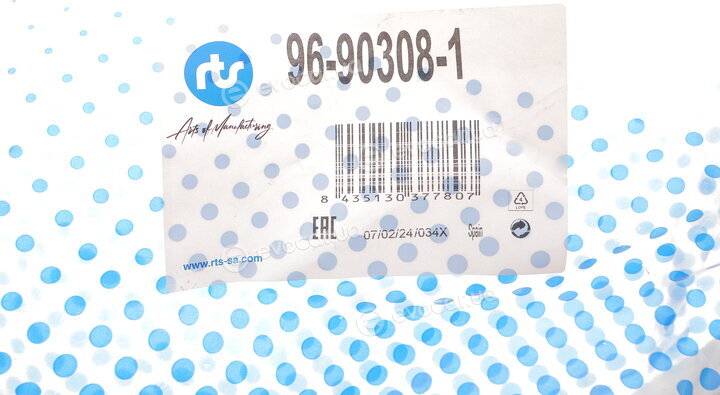 RTS 96-90308-1