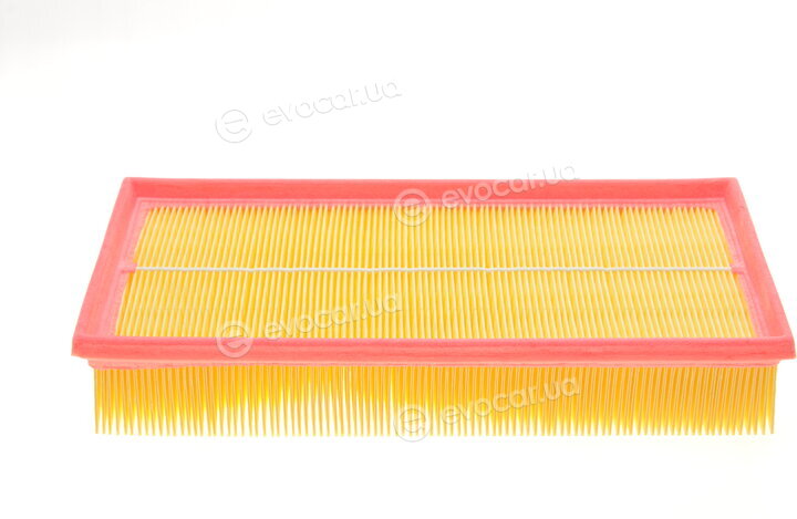 Solgy 103067