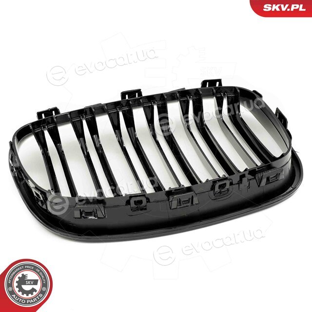 SKV 66SKV016