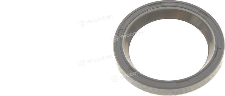 Solgy 221002