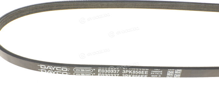 Dayco 3PK856EE