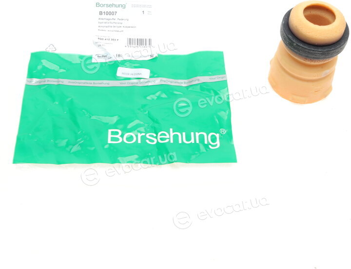 Borsehung B10007