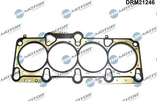 Dr. Motor DRM21246