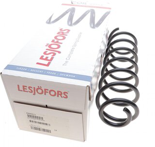 Lesjofors 4204211