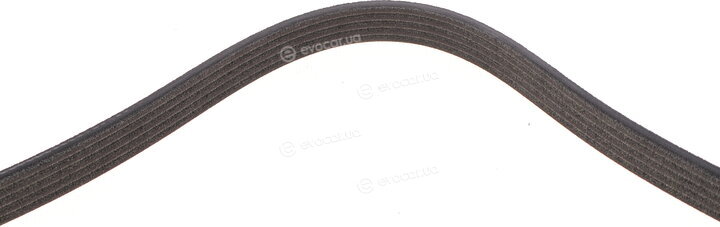 Dayco 5PK1236EE