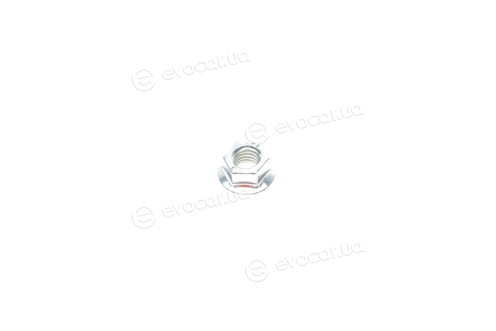 Solgy 203115
