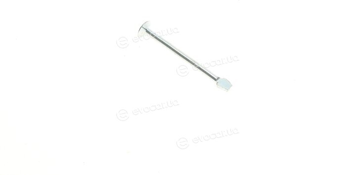 AIC 54813