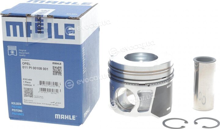 Mahle 011 PI 00108 001