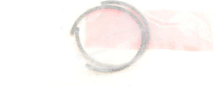 Mahle 029 55 01