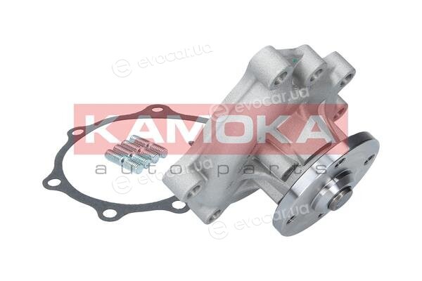 Kamoka T0169