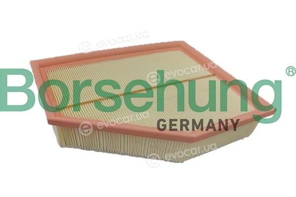 Borsehung B12699