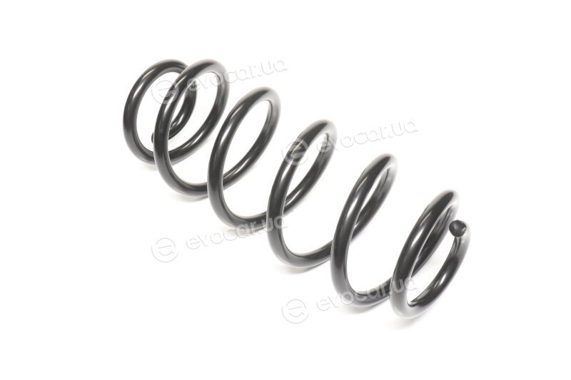 Lesjofors 4095056