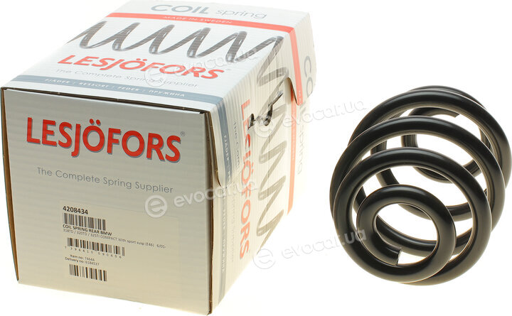 Lesjofors 4208434