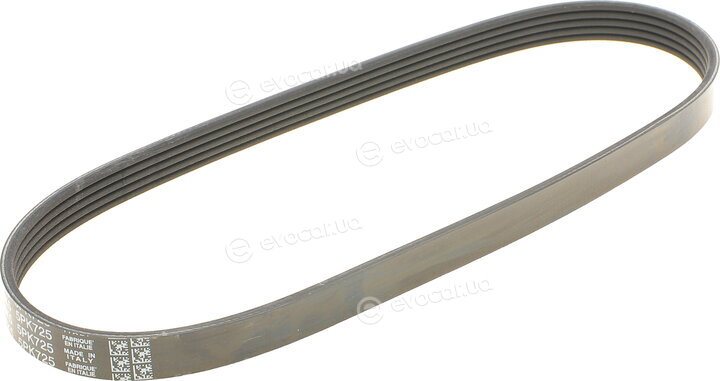 Dayco 5PK725