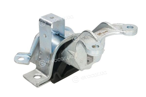 Reinhoch RH11-1071