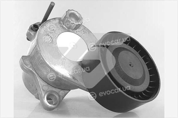 Hutchinson T0694