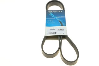 Dayco 6PK1462