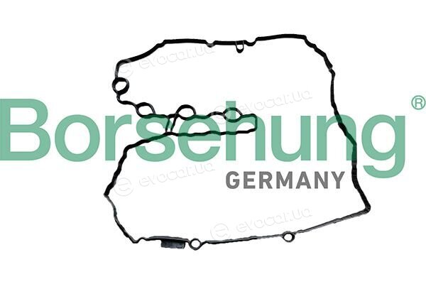 Borsehung B12967