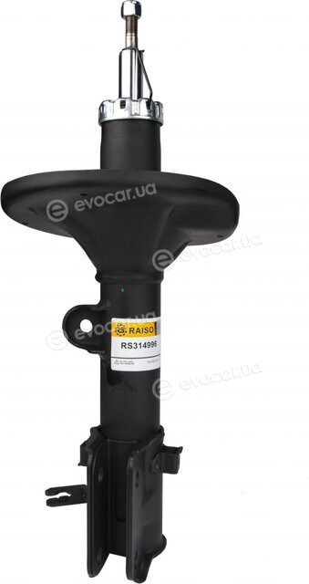 Raiso RS314996