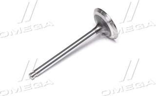 Gunes 3986