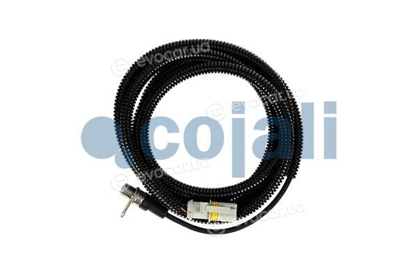 Cojali 2261492