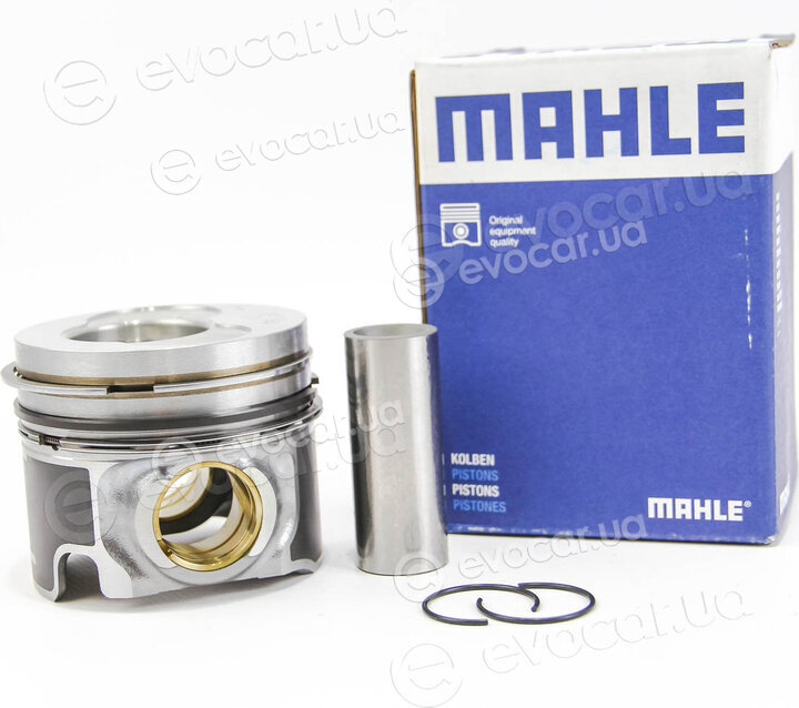 Mahle 028 07 02