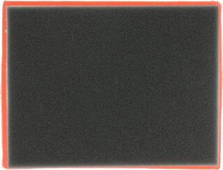 Starline SF VF7543