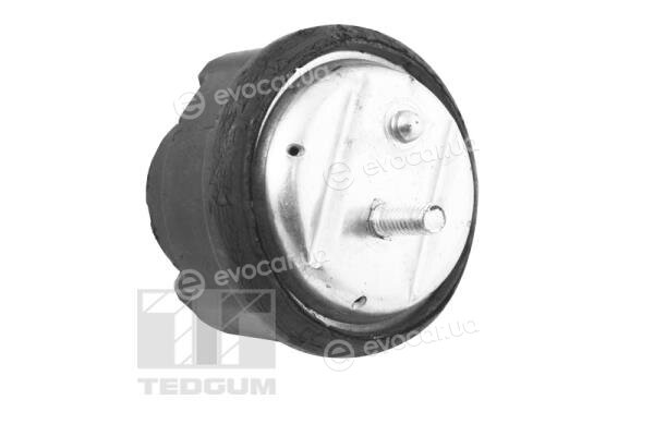 Tedgum TED12723