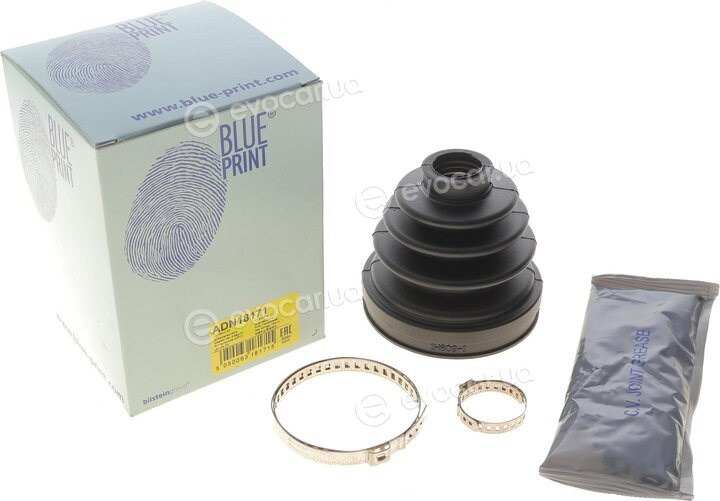 Blue Print ADN18171
