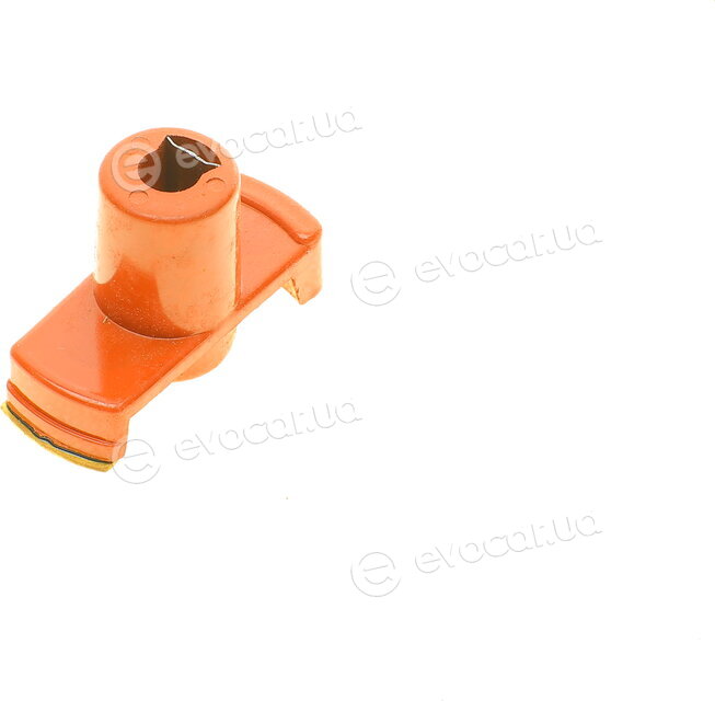 AIC 50719