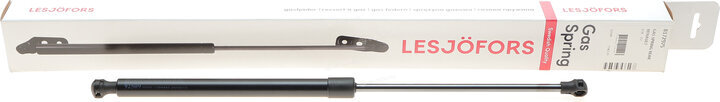 Lesjofors 8172975