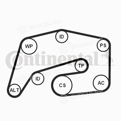 Continental 8PK2035K1
