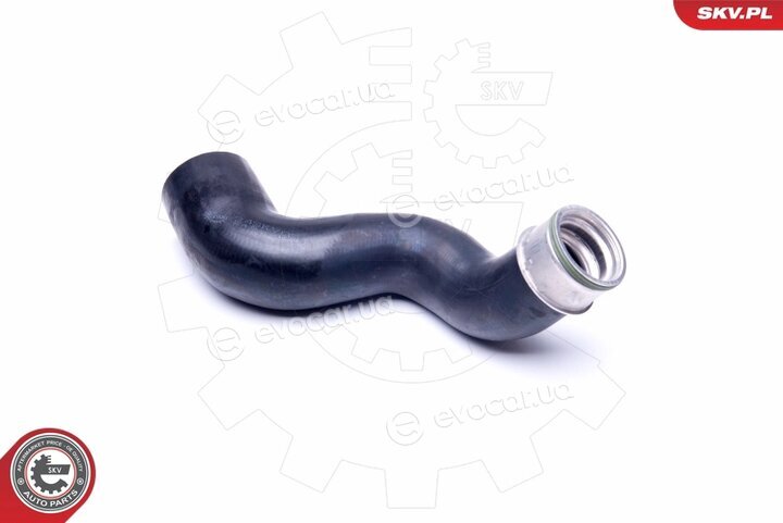 SKV 24SKV031